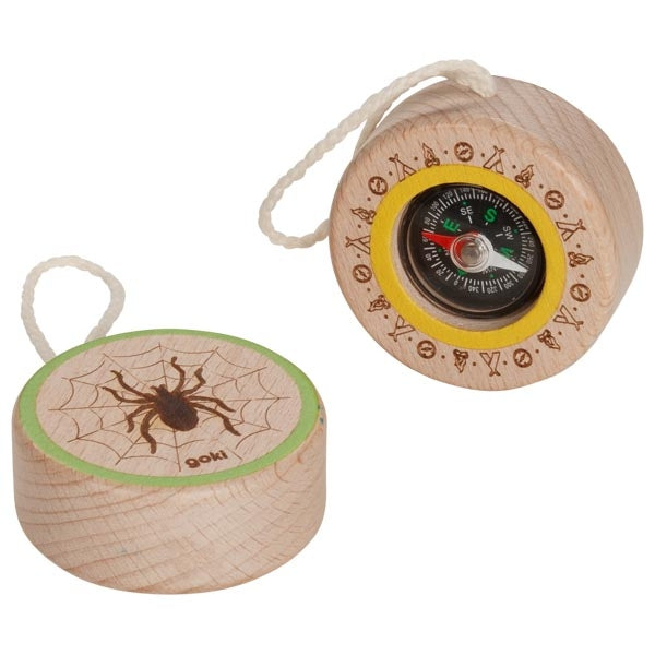 Compass spider