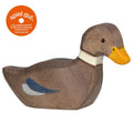 Duck, swimming