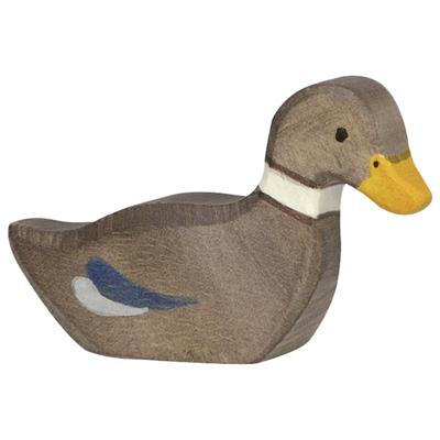 Duck, swimming