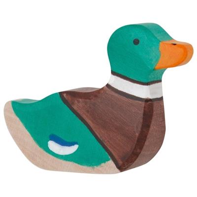 Drake, swimming