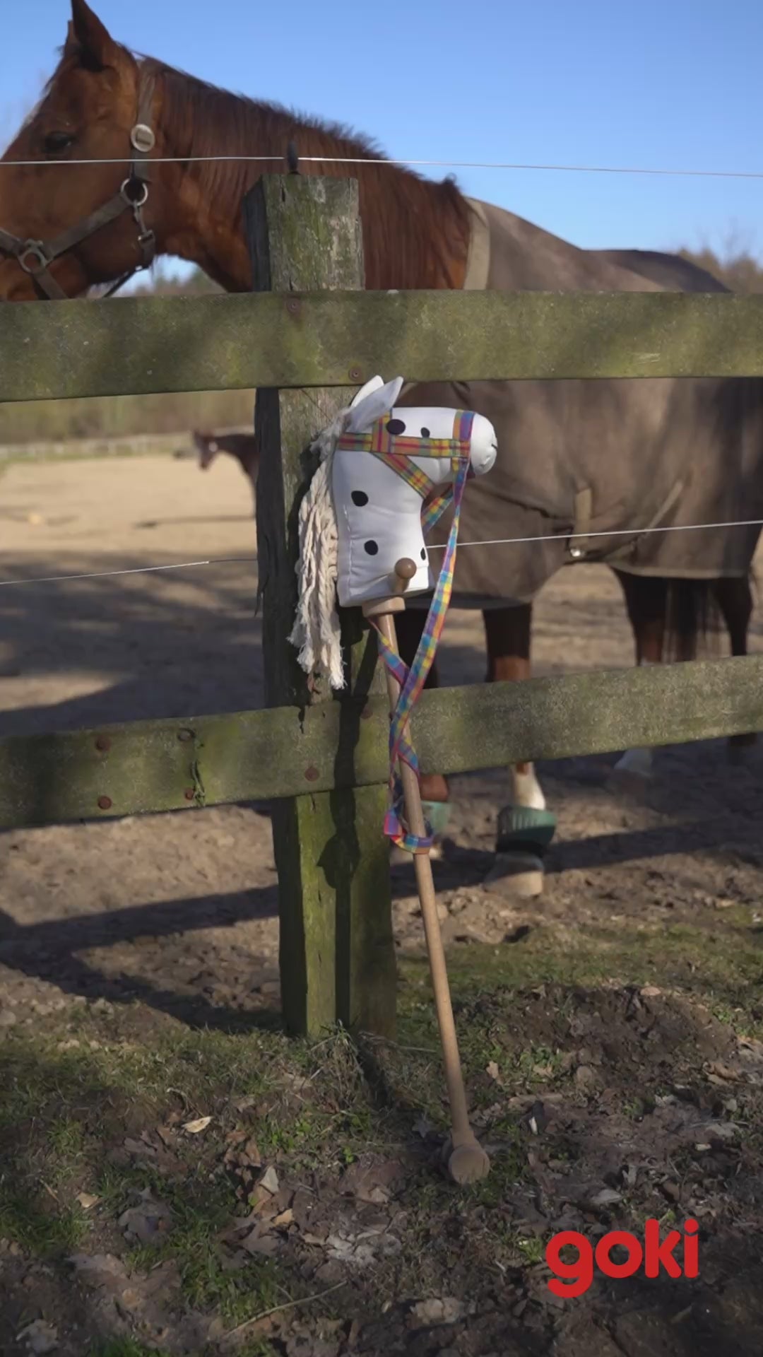 Hobby horse white with dark brown dots,colour horse halter